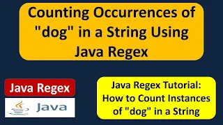 How to count the number of times the word dog appears in the input string using Java Regex