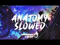 Download Lagu TEENWXVE - Anatomy (Slowed)