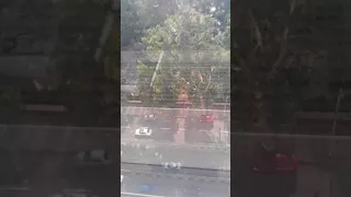 حديقة حيوان الجيزة من فوق                     دندنها