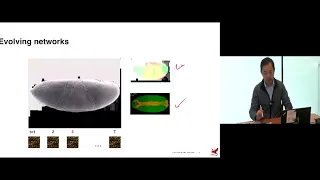 Lecture 16 Structure Learning