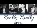 WINNER (위너) - Really Really | Han/Rom/Eng | Color Coded Lyrics |