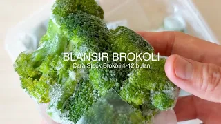 CARA STOK SAYUR 1-12bulan