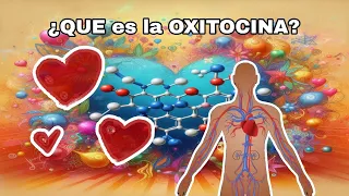 ¿QUE es la OXITOCINA? la HORMONA del AMOR