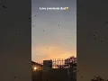 Download Lagu haste hue maa muskurate hue baap se badhi es duniya me kuch bhi nahi hai 🤲