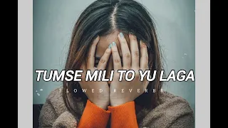 Download Tumse mili to yu laga|(slowed+reberb)lofi|song MP3