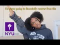 everything you need to know about nyu