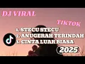 Download Lagu DJ STECU STECU X ANUGERAH TERINDAH X CINTA LUAR BIASA VIRAL 2025 🎧🎧❤️❤️