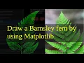 Draw a Barnsley fern by using matplotlib