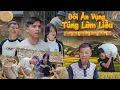Download Lagu ĐÓI ĂN VỤNG, TÚNG LÀM LIỀU | Hai Anh Em Phần 658 | Phim Tình Cảm Hài Hước Gãy Media
