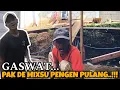 Lagu GAWANGAN BELOM DATENG-DATENG MAN ❗AKU PUSING MAU PULANG