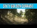 Red Dead Redemption II 60 Golden Currant Locations