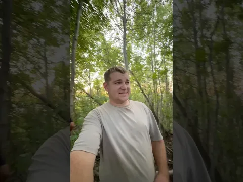 Строим новый лесной домик 😁