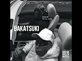 BakaTsuki