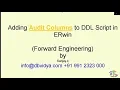 How to Add Audit Columns in ERwin Tool Data Modeling