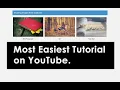 PHP Tutorial 2 - Show Image From Database in PHP Display Image From Database and Folder in PHP