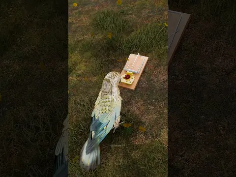 #bts
