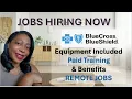 Blue Cross Blue Shield is HIRING Remote Jobs WFH Great Pay Benefits Equipment Included