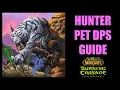 WOW TBC Classic Hunter PET DPS GUIDE Pet Talents Abilities Buffs and LOTS MORE