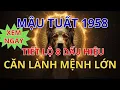 Lagu Mậu Tuất 1958: Phải Có \