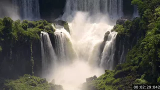 صلى عليك الله يا خير الورى   أجمل نشيد عن النبي  ﷺ دندنها