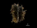 ARTBAT & Another Life - Breathe In (Original Mix)