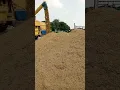 Download Lagu Rice Harvesting Process Using Harvester Machine | Smart Farming