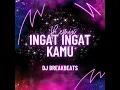 Ingat Ingat Kamu Remix