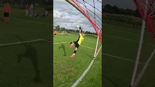 They Call Me Fabien Barthez After This Save Goalkeeper Goalkeepersaves Football 