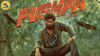 film hindi cusub 2022 pushpa afsomali warbixin ku sabsan