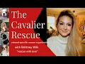 The Cavalier Rescue - Britteny Wilk