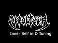 Sepultura - Inner Self [D Tuning] HQ