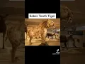 Animals thar scientists Are Trying To Bring Back 💔😨☠️ | saber tooth tiger #short #epicvideo
