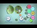 Science Animated 2D with 3D Showreel