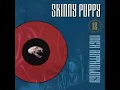 12' Anthology - Skinny Puppy - Assimilate