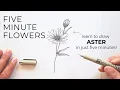 Five Minute Flowers ASTER Learn to draw flowers with ink