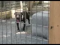 Tom Garner Kennels - Episode 14