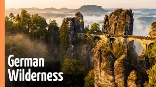 Wild Germany: From Alpine Peaks to Urban Foxes