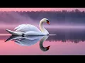 Download Lagu Когда душа устала 🕊️ Эта мелодия возвращает веру и покой 🎶 Музыка Сергея Грищука