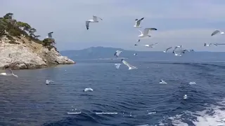 ترنيمه أدخلتنا الي الشبكه 