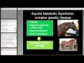 Advances in Equine Genetics