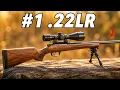 The 22LR Rifle Every American Wants in 2026 10 Best Ranked
