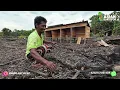 Download Lagu KESIBUKAN PERANTAU KALIMANTAN DI LAHAN RAWA TRANSMIGRASI SEPUNGGUR BULUNGAN, KALIMANTAN UTARA