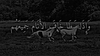                                                             دندنها