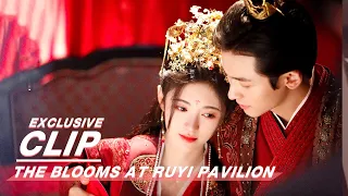 Download Exclusive: Ju Jingyi Is His Forever \u0026 Always | The Blooms At RUYI Pavilion | 如意芳霏 | iQiyi MP3