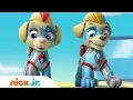 The Mighty Twins In Action PAW Patrol Nick Jr