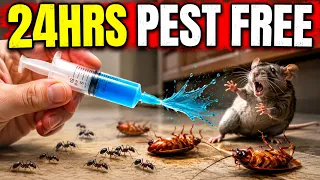 The Homemade Mixture That Wipes Out Roaches, Mice & Ants in 24 Hours