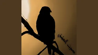للحين ما حنيت دندنها