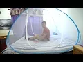Popup Mosquito Net Tent for Beds Review