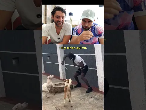Comment rendre un chien agressif gratoss 😳