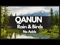 Instrumental Turkish Music | Kanun (Qanun) \u0026 Rain \u0026 Forest Ambience (Qanun, Kanun, Qanoun Kanoon)